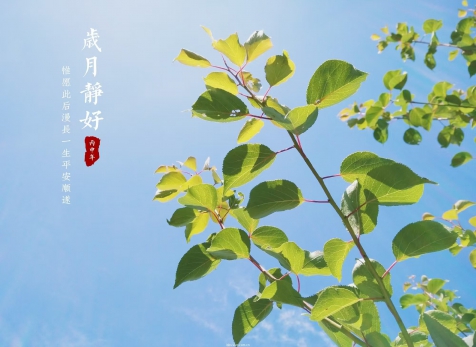 愿歲月靜好，山河無恙